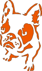BosTer