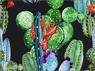 Cactuspatroon sticker 15 inch