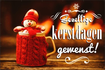 Cozy Christmas Spandoek