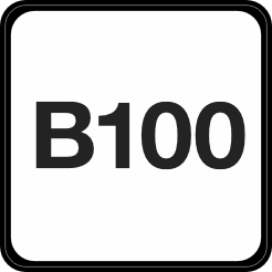 Diesel B100