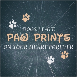 Dogs leave paw prints in your heart forever memoriam stoeptegel