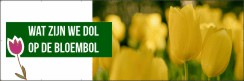 Dol op de bloembol