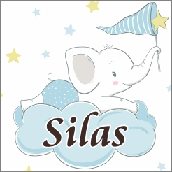 Geboorte jongen statisch hechtend