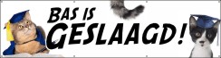 Geslaagd cats