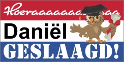 Geslaagd wijze uil (Achter Glas)