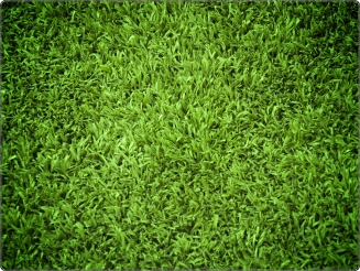 Gras laptop sticker 15 inch
