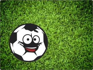 Gras Voetbal sticker 15 inch