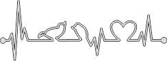 Heartbeat vogels