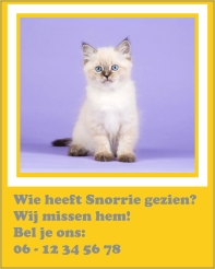 Kat vermist sticker