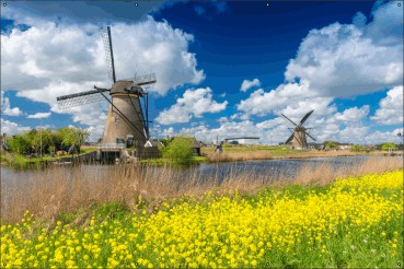 Hollands landschap