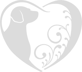 Hond hart