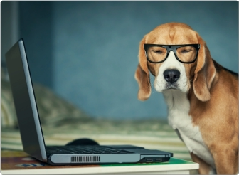 Intellidog Laptop Sticker 17 inch