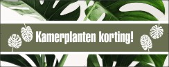 Kamerplanten korting