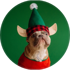 Kerst hondje