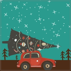 Kerstboom op auto