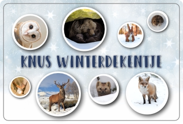 Knus Winterdekentje