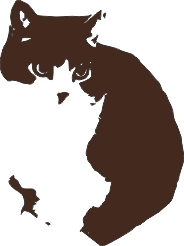 KttyCatty