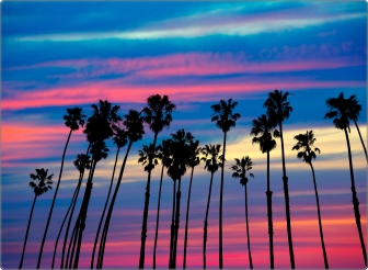 Los Angeles Laptop Sticker 17 inch