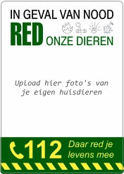 Meterkaststicker