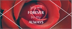 Mok forever my always