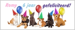 Mok huisdieren feestje