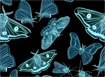 Motten X-Ray Laptop Sticker 17 inch