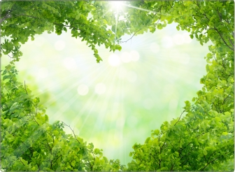 Natuur Hart Sticker 17 inch