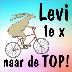 Op naar de TOP