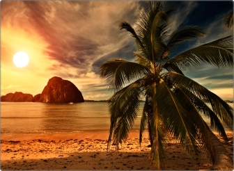 Palm Sunrise Laptop Sticker 17 inch