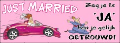 Pas getrouwd Spandoek