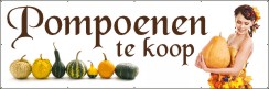Pompoenen Spandoek