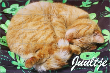 Puzzel huisdier kat