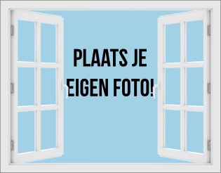 Raam sticker