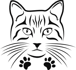 Set kat met 2 pootjes