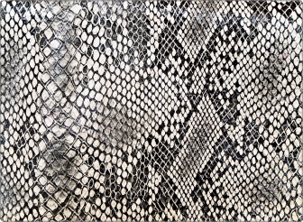 Slang Laptop Sticker 17 inch
