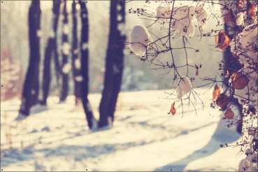 Sneeuw winterzon