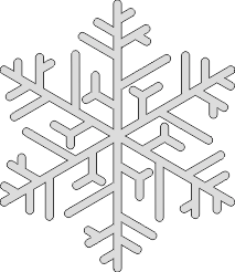 Sneeuwvlok