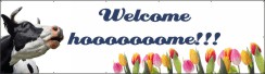 Spandoek Welcome home