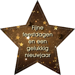 Ster sticker fijne feestdagen