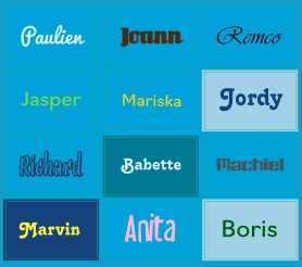 Stickervel namen blauw