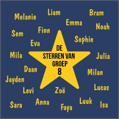 Stoeptegel Groep 8 De Sterren Van Groep 8