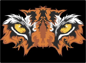 Tijgerogen sticker 17 inch