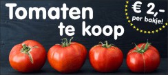 Tomaten Te Koop Spandoek