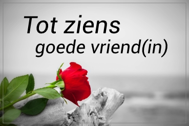 Totziens goede vriend(in)