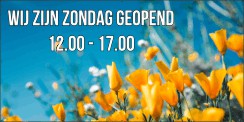 Tuincentrum zondag open