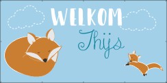 welkom-kindje (blauw)